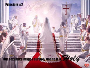 godly sexuality